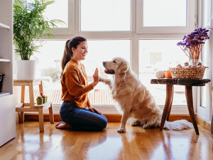 A woman holding a dogs paw and smiling. 