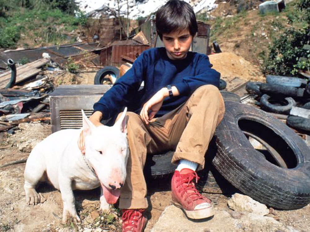 a boy and a white dog in Baxter