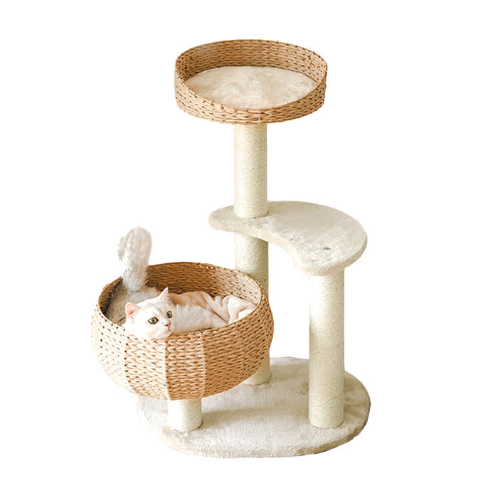 Sleeping in the Bowl Cat Tree, Happy and Polly