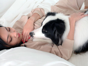 Sad, fluffy dog laying on woman's stomach.