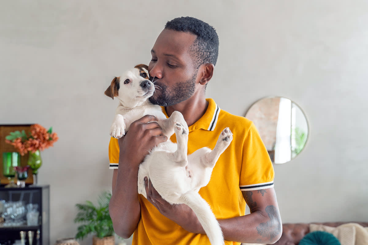 a person holding and kissing a white dog