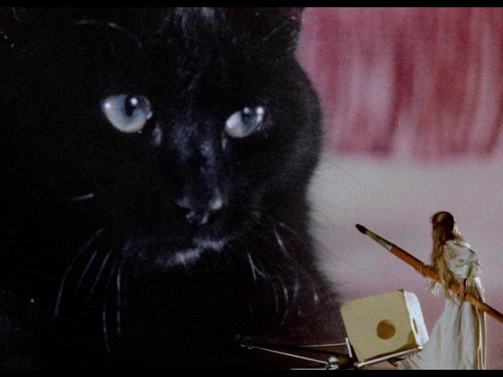 a black cat in The Uncanny