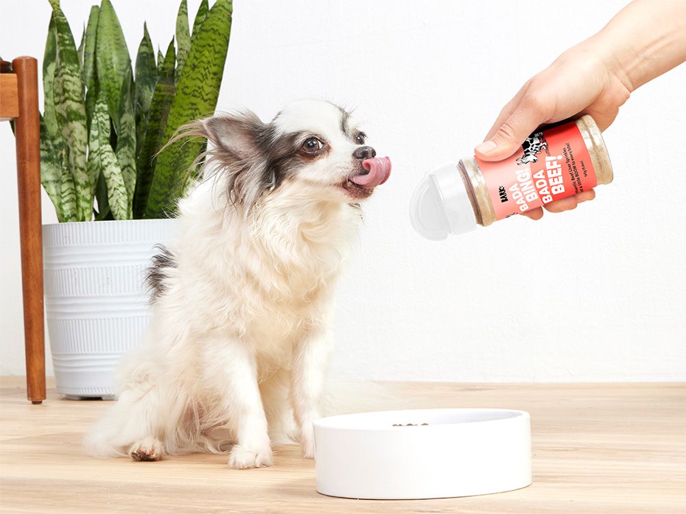 dog eating out of white bowl