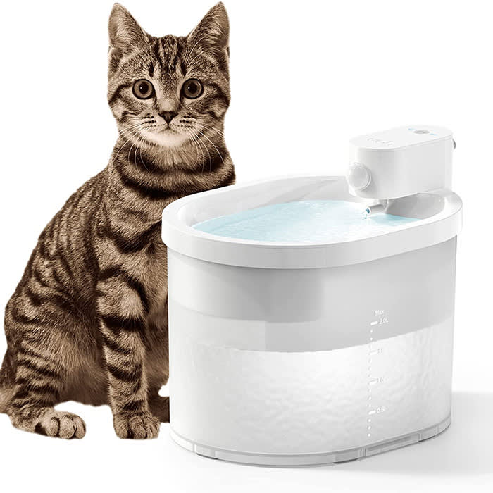 white water fountain with cat
