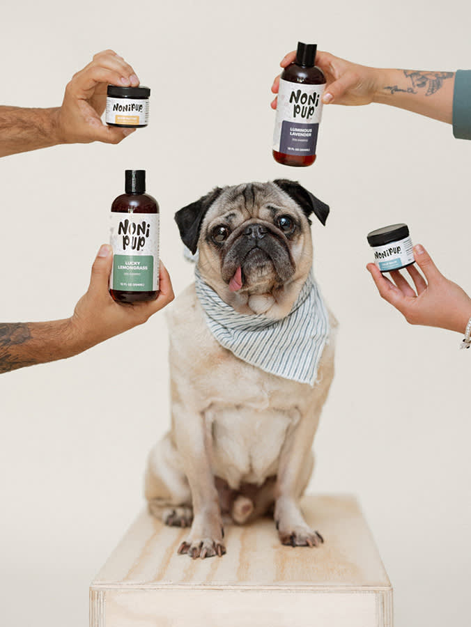 Doug the Pug with Nonipup products