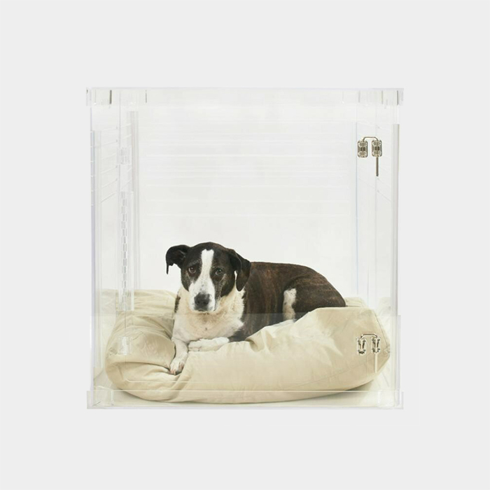 Hiddin Lucite Pet Crate