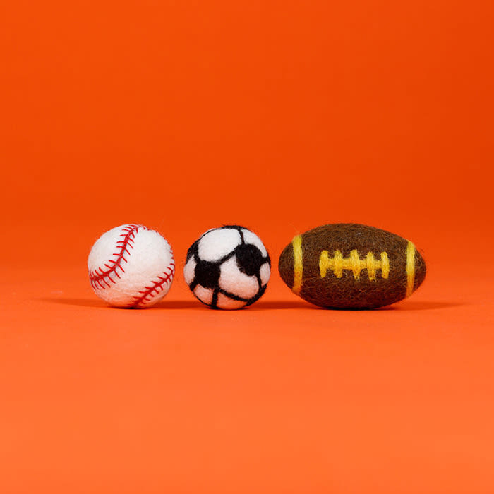 Ware of the Dog sports balls toys; baseball, soccer ball, football