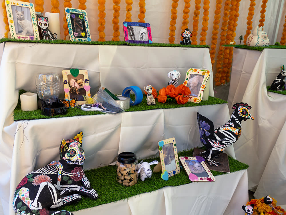 Beloved Pets Ofrenda Construction