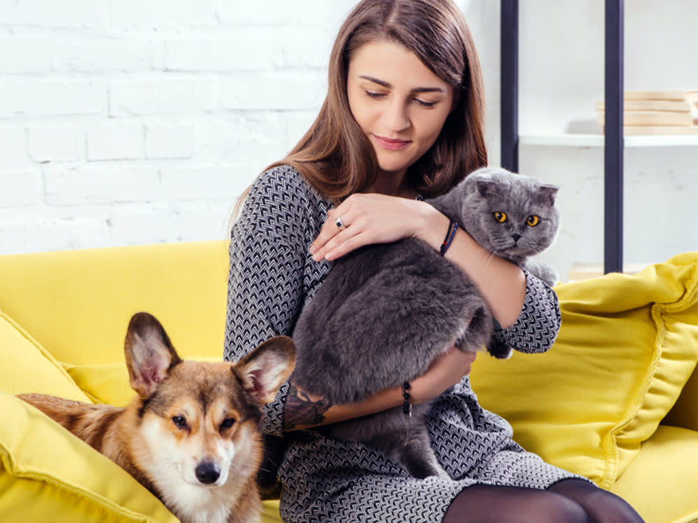 A woman with brown hair sits on a sofa holding a grey cat while her Corgi sits next to her. 