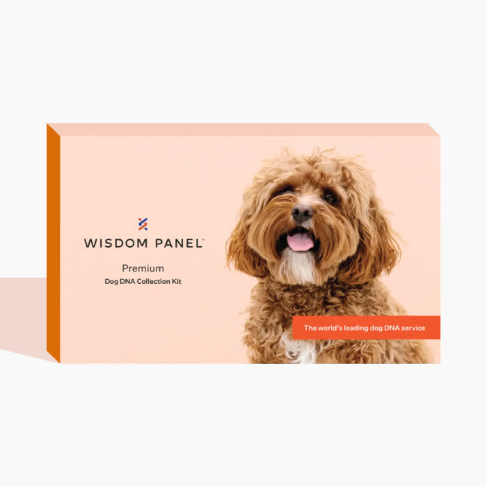 the Wisdom Premium Dog DNA Kit