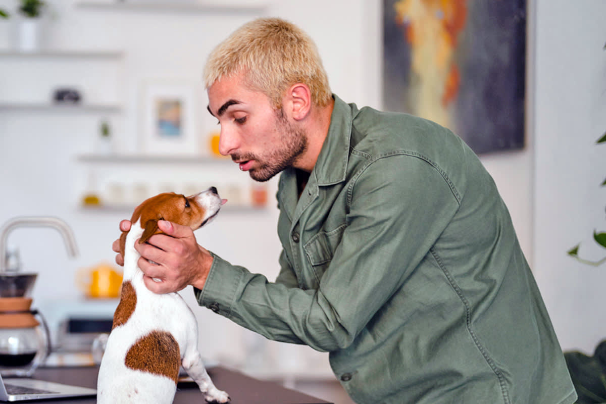 Person speaking to a small black and brown dog