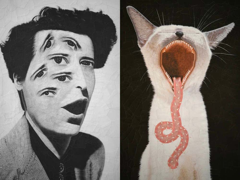 collage of woman and cat with serpent tongue