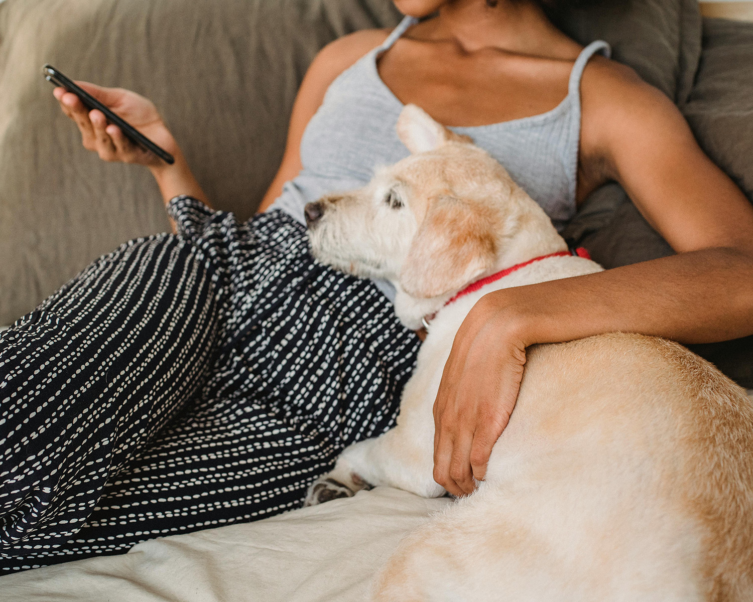 woman and dog on a sofa looking at a phone