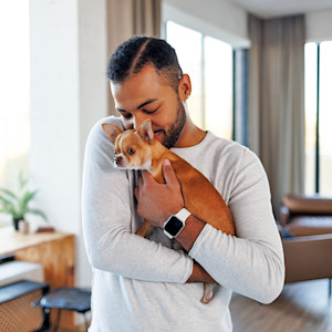 Man cuddling his Chihuahua dog at home.