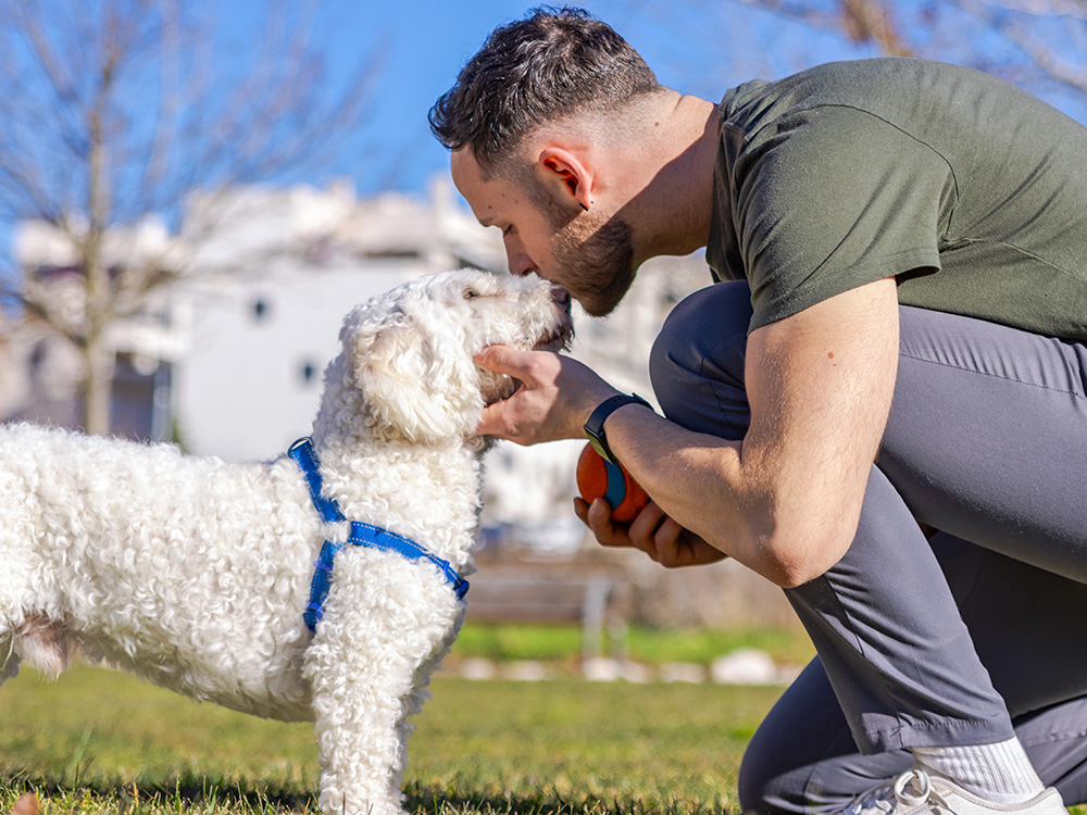 Man showing affection to white dog in park.