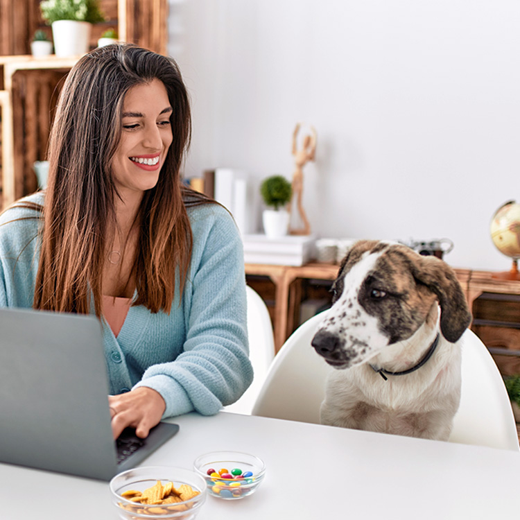 Woman working from home while her dog stares at her snacks.