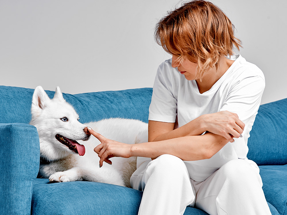 Woman booping her dog on the couch.