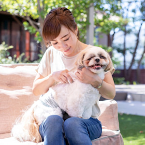 Woman examining her small white dog's skin outside on a couch.