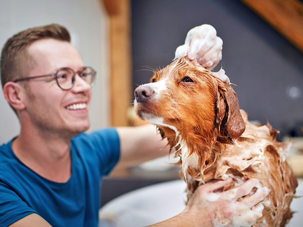 a man giving his dog a bath with sudsy shampoo 