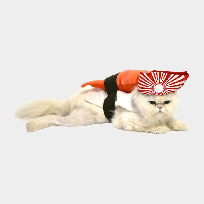 cat wearing sushi costume