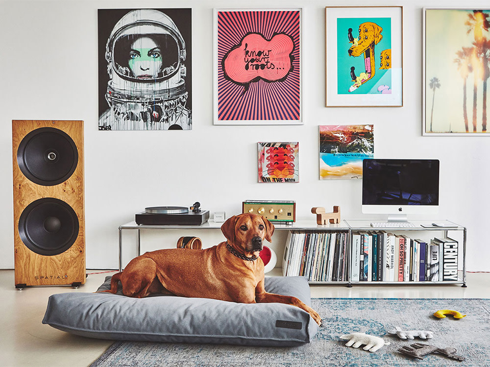 A dog laying on a dog bed surrounded by designer dog toys and colorful artwork. 