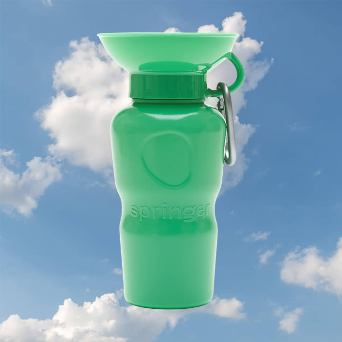 Springer Growler Travel Bottle in green