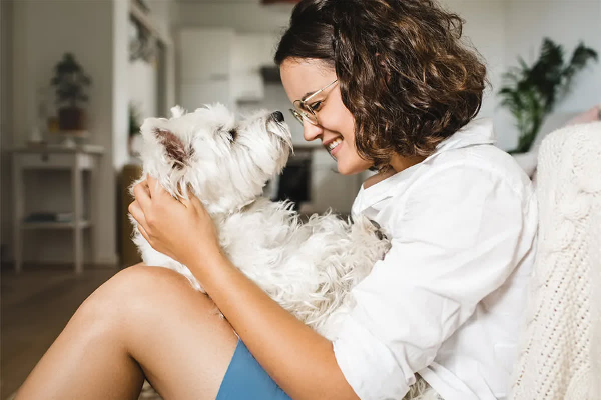 Person holding a white dog