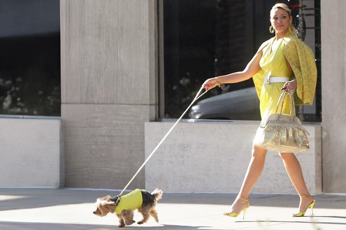 Samantha’s Yorkshire Terrier Dog Baby