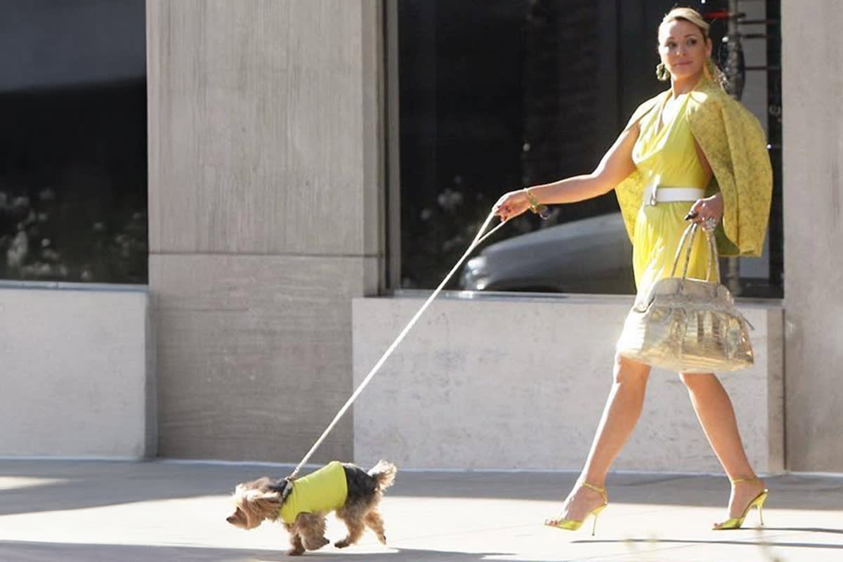 Samantha’s Yorkshire Terrier Dog Baby