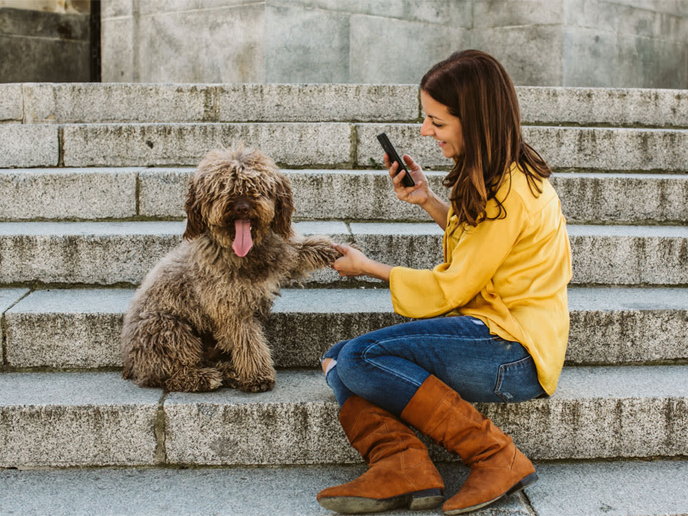 Woman training a brown dog to take a photo