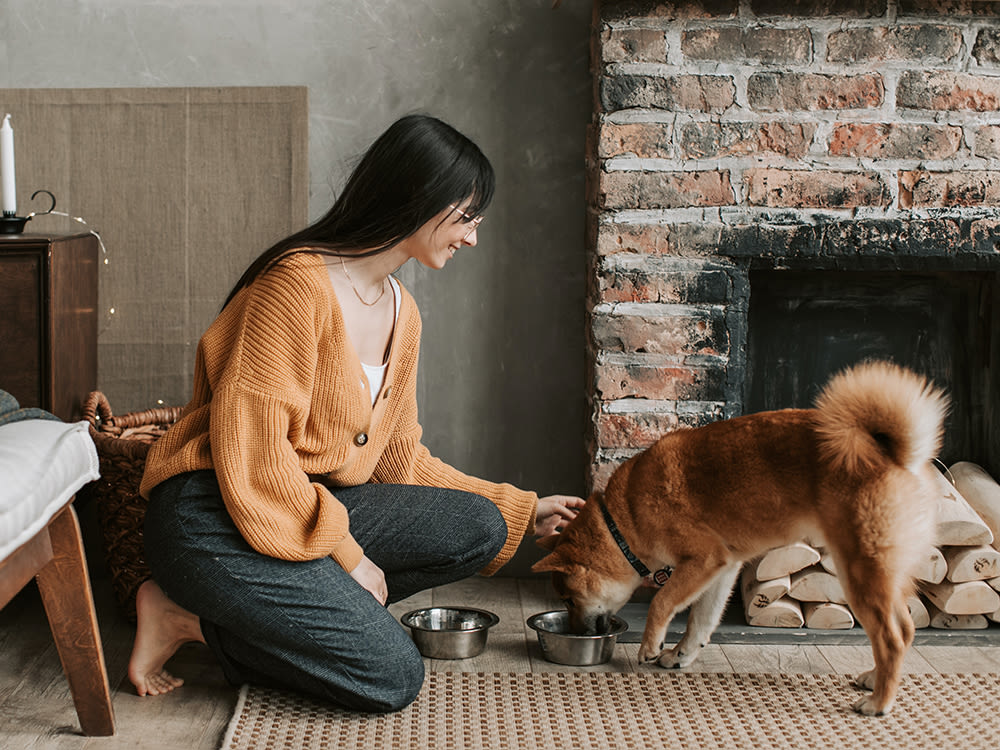 A woman with long dark hair kneeling to feed her Shiba Inu dog from stainless steel dog bowls