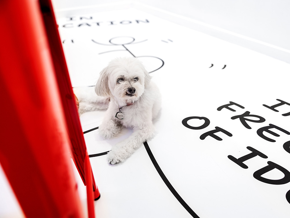 Shantell Martin and her small white dog, Blanche