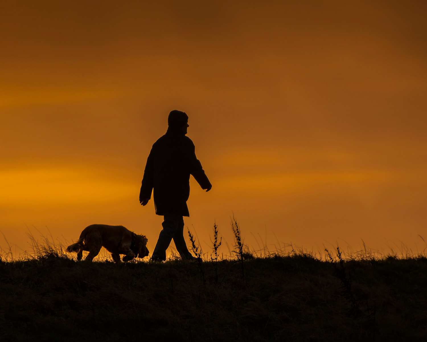 silhouette of a man and a dog walking in the dark against a golden sunset