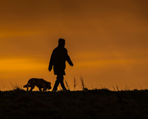 silhouette of a man and a dog walking in the dark against a golden sunset