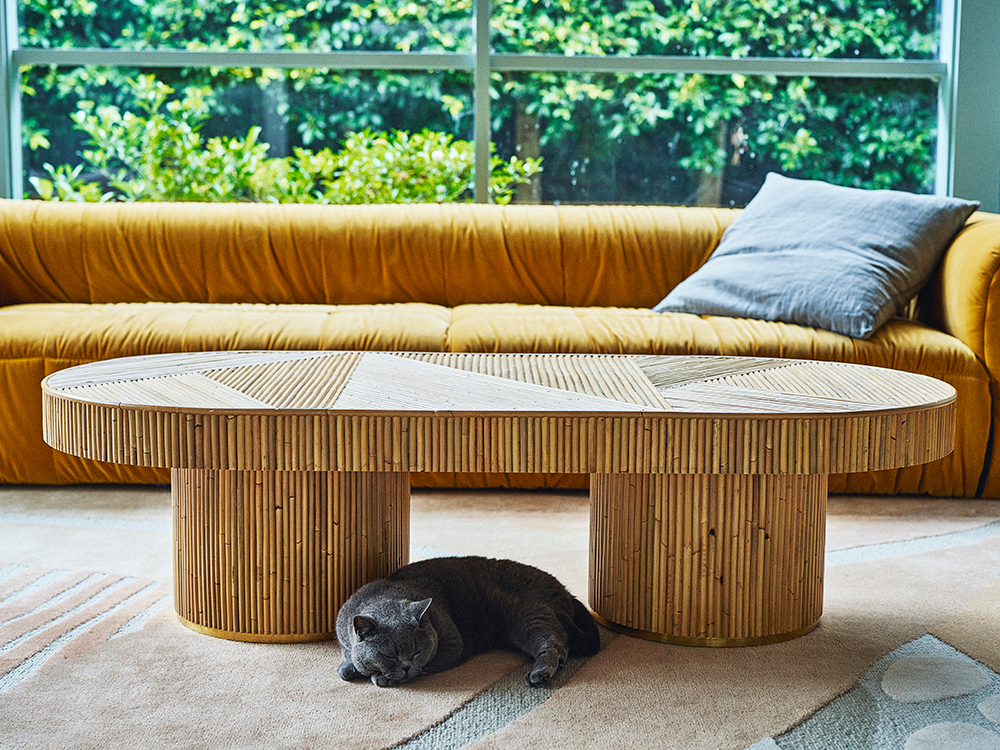 a small gray cat lies under a coffee table 