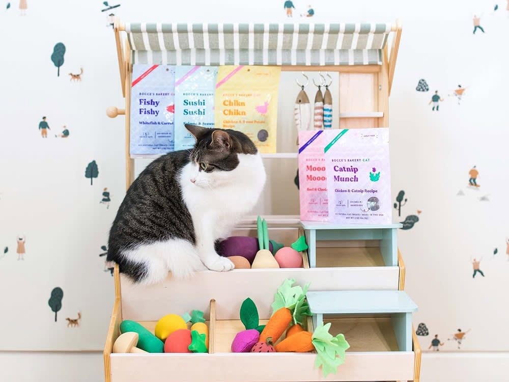 Black and white cat standing on toy grocery setting with Bocce's Bakery treats