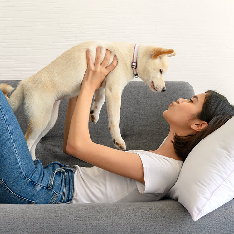 Woman holding her cute puppy in the air at home.