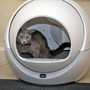 Cat sitting in an automatic litter box at home.