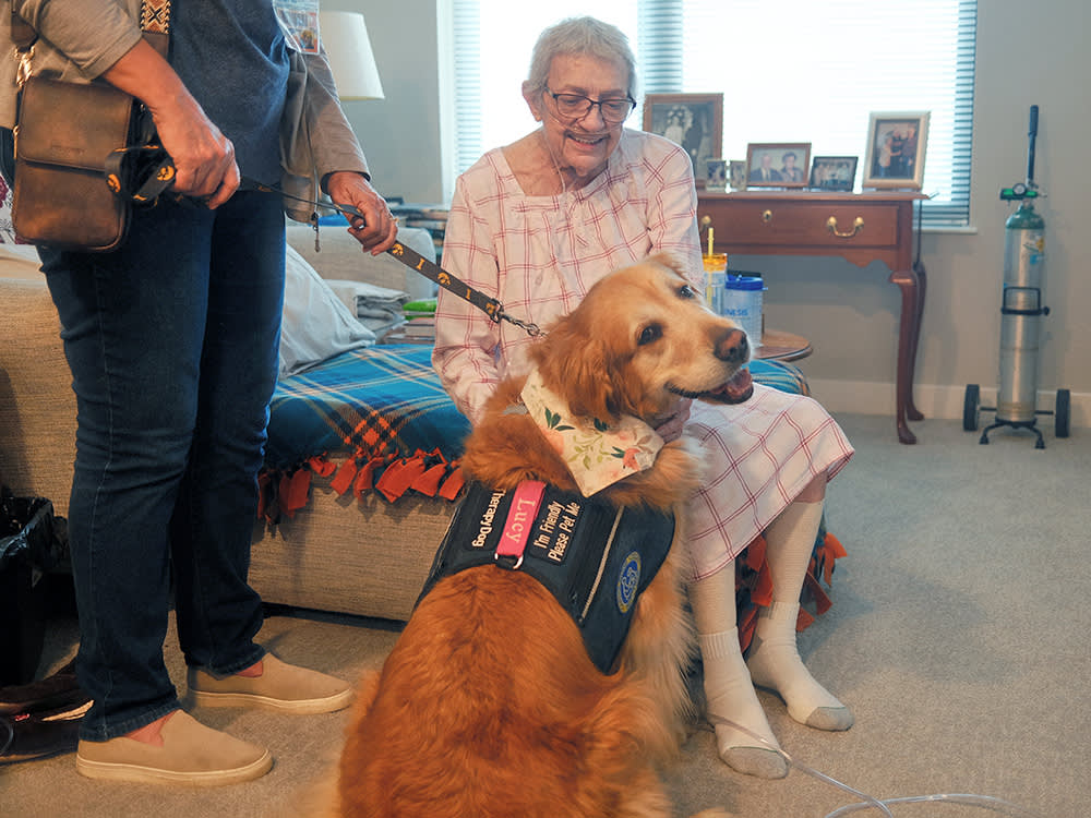 Lucy the Golden Retriever cuddles up to a resident at The Summit