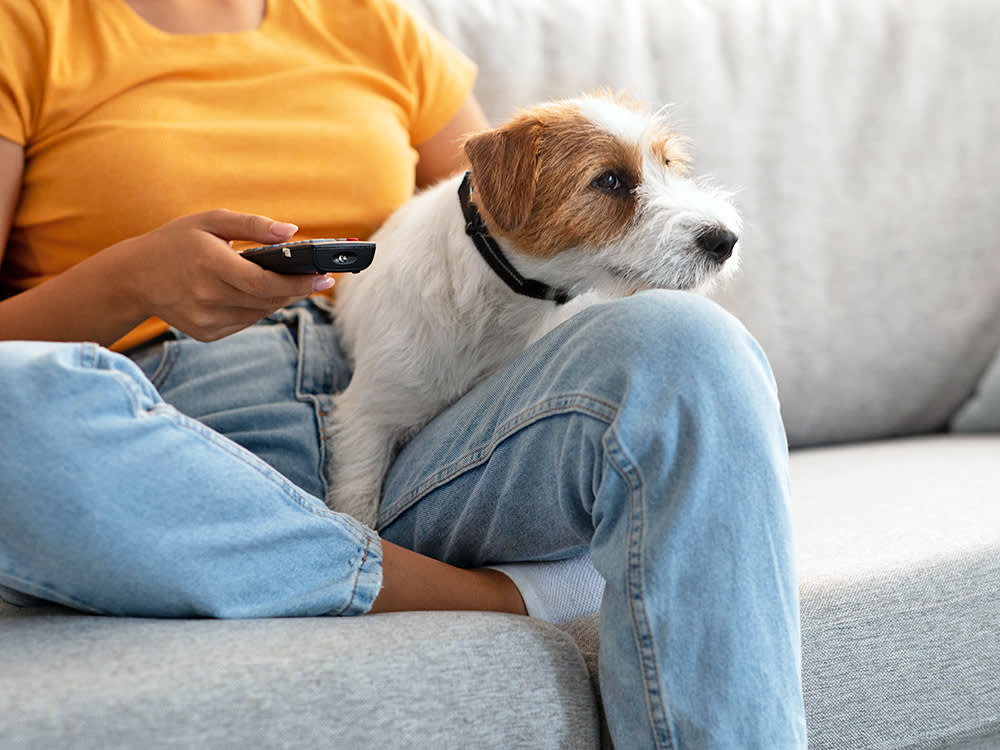 Woman watching tv with her dog at home.