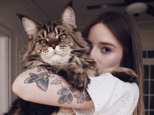 Katya Krasnova with her cat