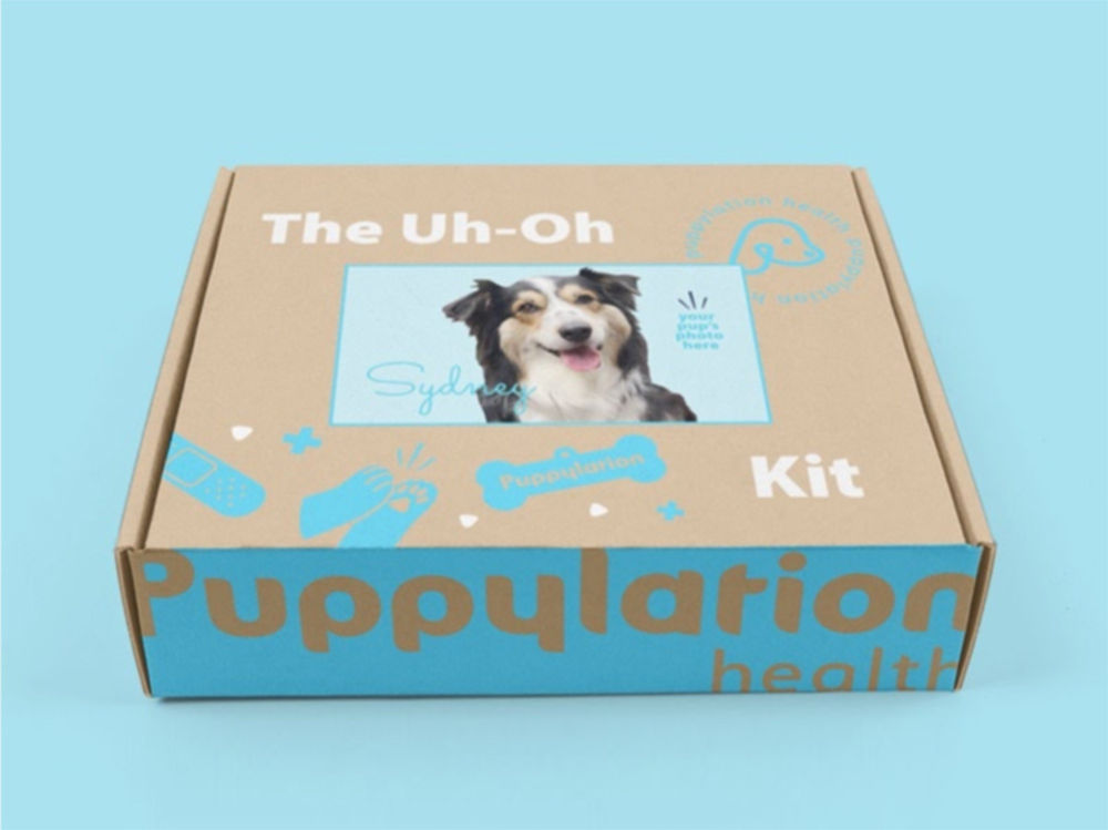 uh-oh kit for dogs