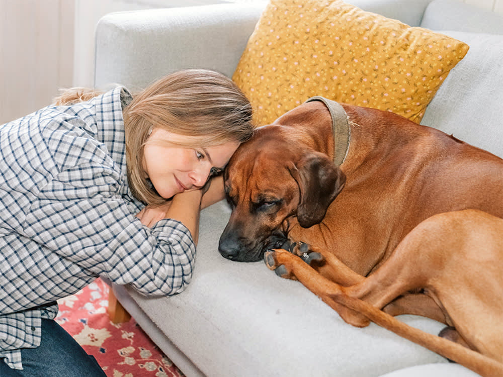 person cuddling with dgo