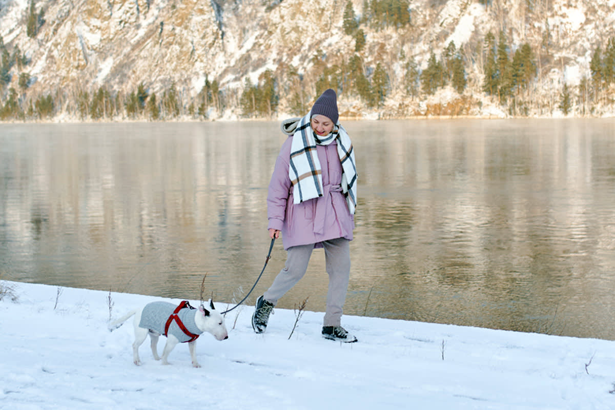 woman walking dog next to lake in the winter
