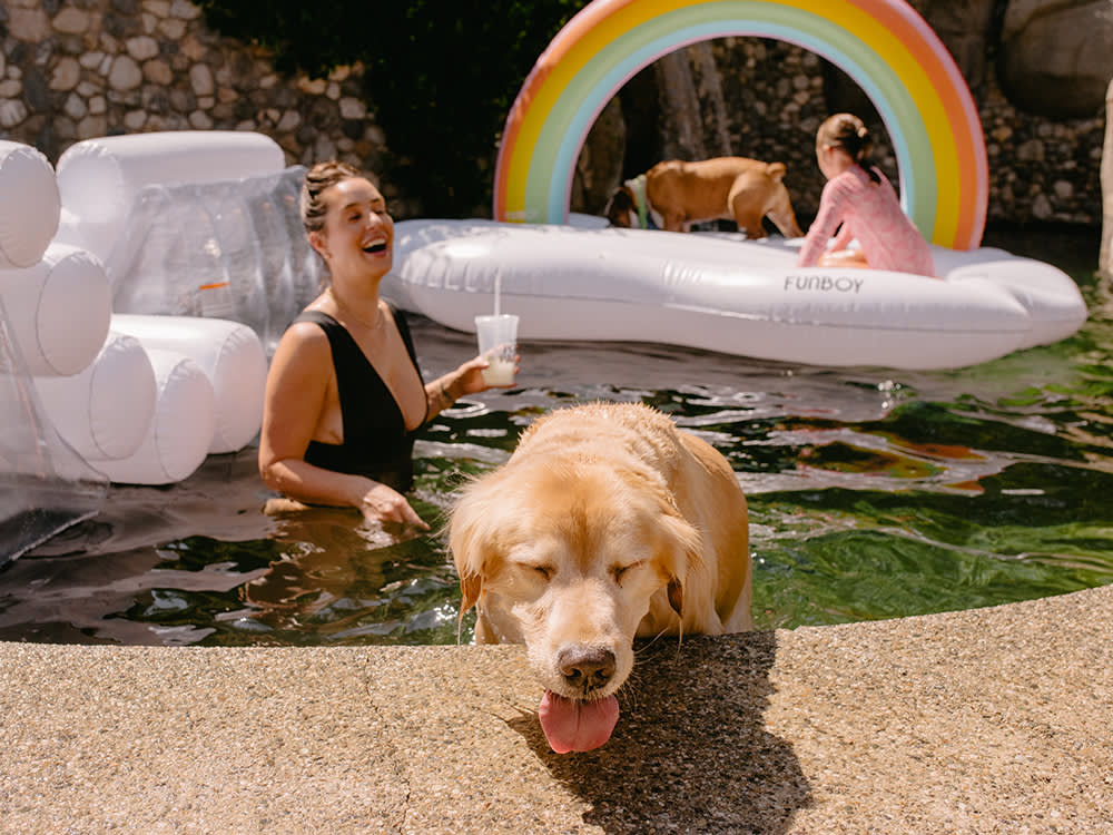 a large yellow dog swims with humans; a medium sized brown dog rests on a pool float