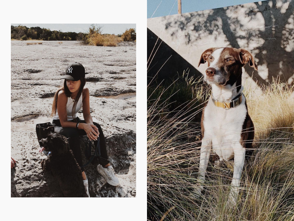 danielle and her dog