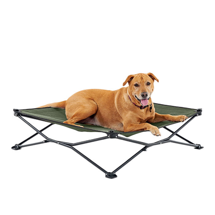 Coolaroo On The Go Cooling Elevated Dog Bed
