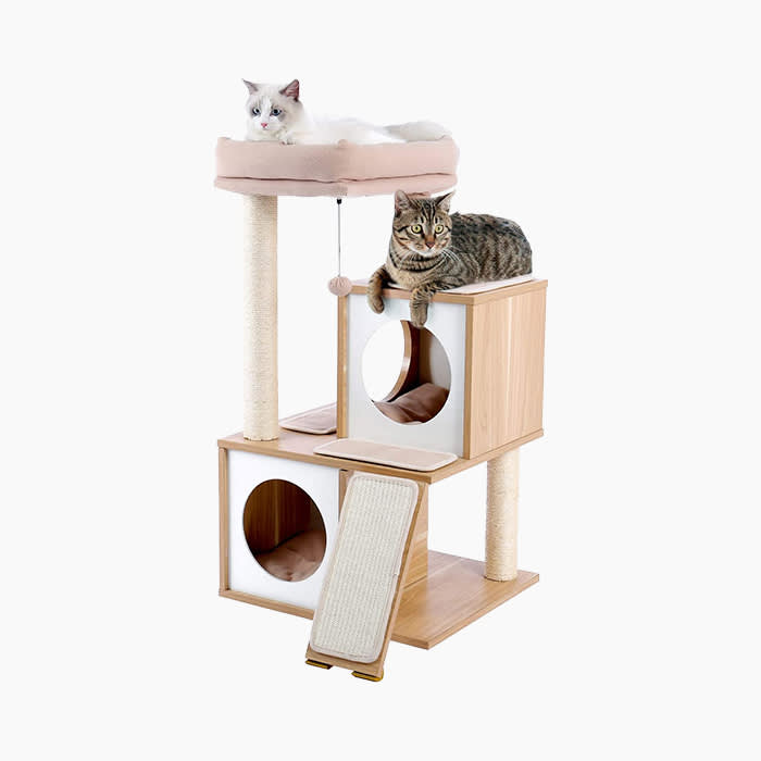 cats on a wood and white cat tree