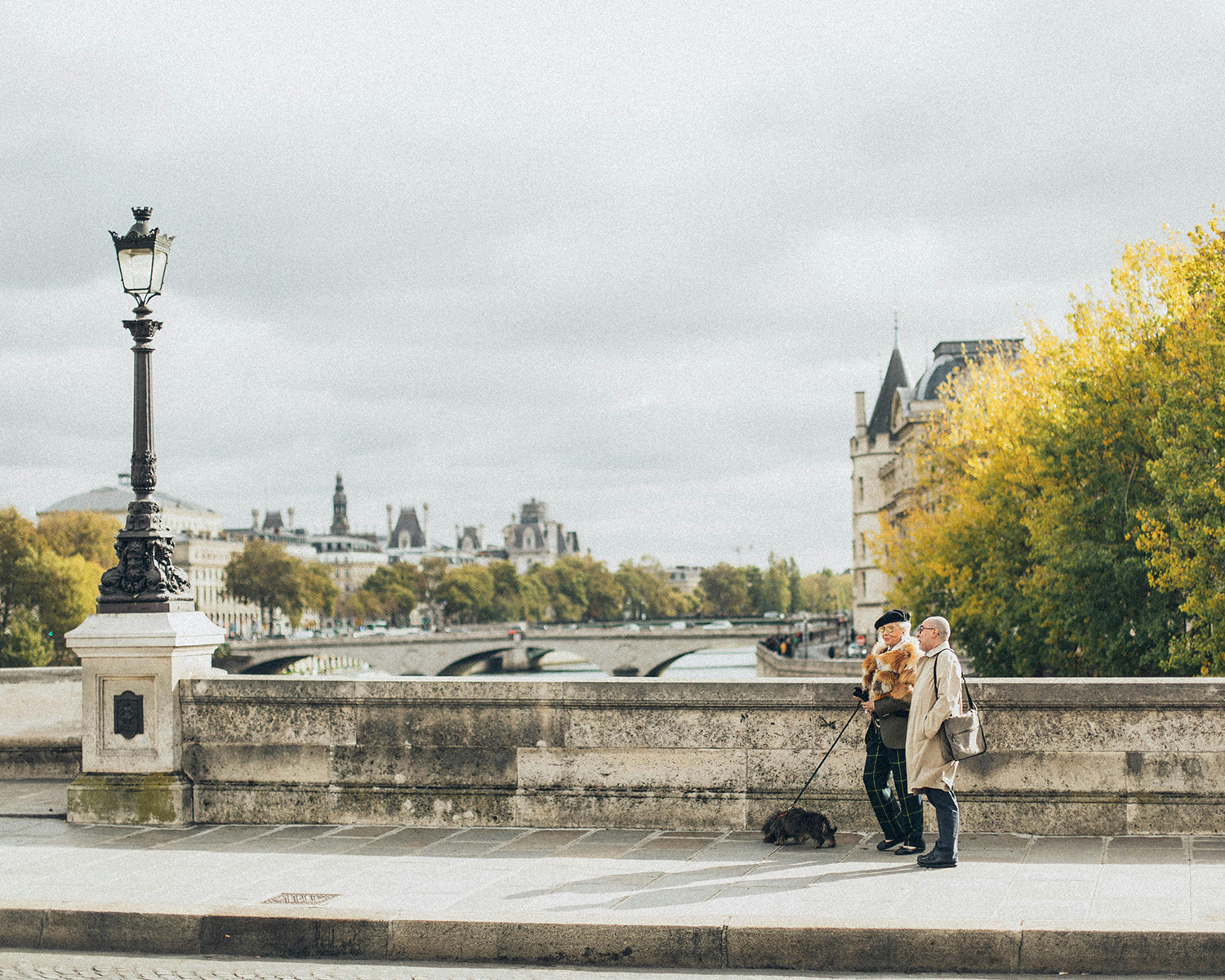 couple walking a dog on a bridge on the seine in Paris, France