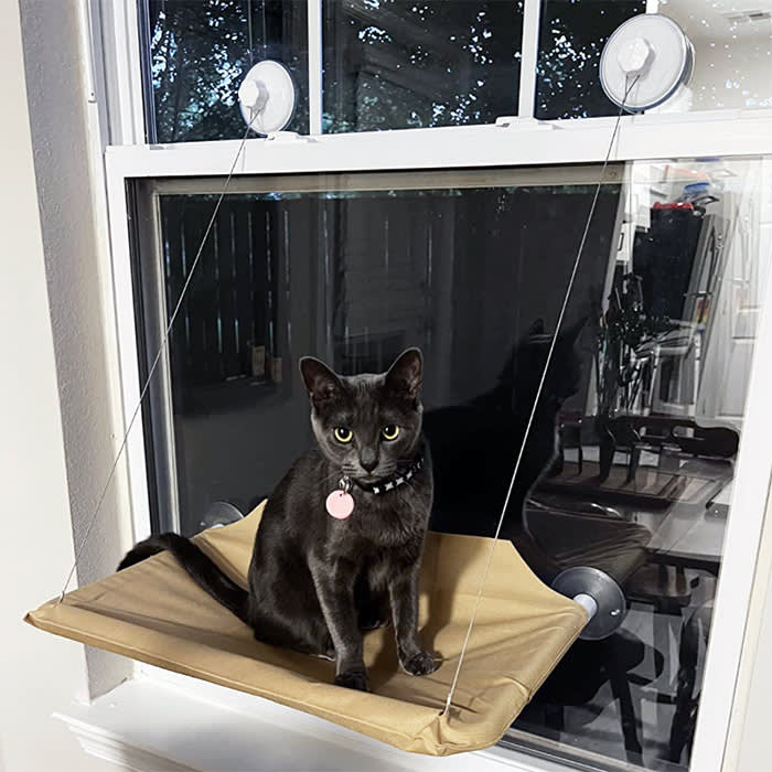 CLKHOWL Cat Window Perch Hammock Seat